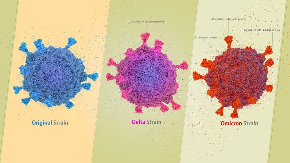 Tehdidin yeni adı: Delmicron - Resim: 2