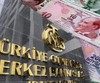 Merkez Bankası rezervlerinde tarihi rekor