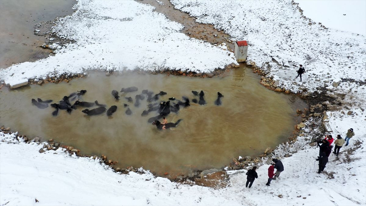 Muhteşem görüntüler! Fotoğrafçılar bu manzara için kilometrelerce yol geliyor - Resim: 1