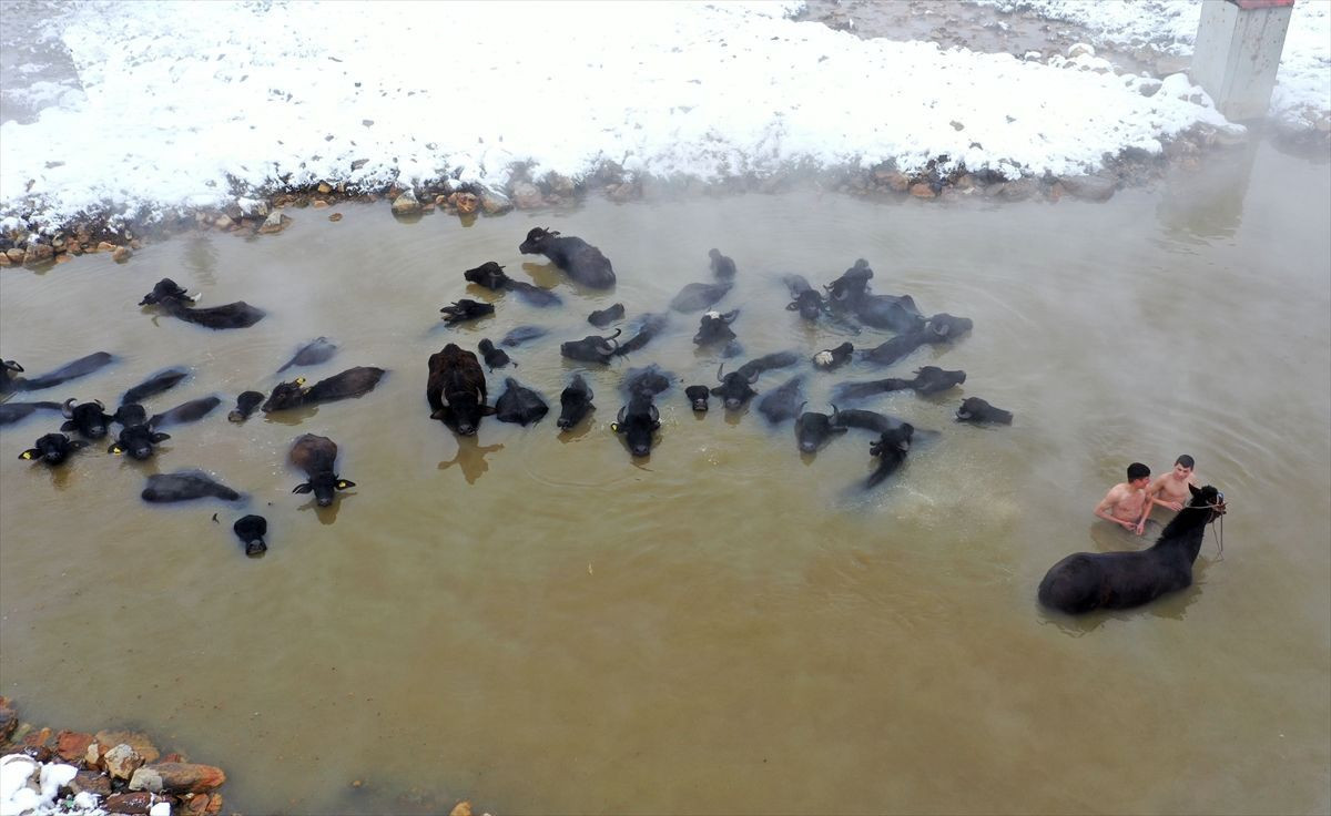 Muhteşem görüntüler! Fotoğrafçılar bu manzara için kilometrelerce yol geliyor - Resim: 2