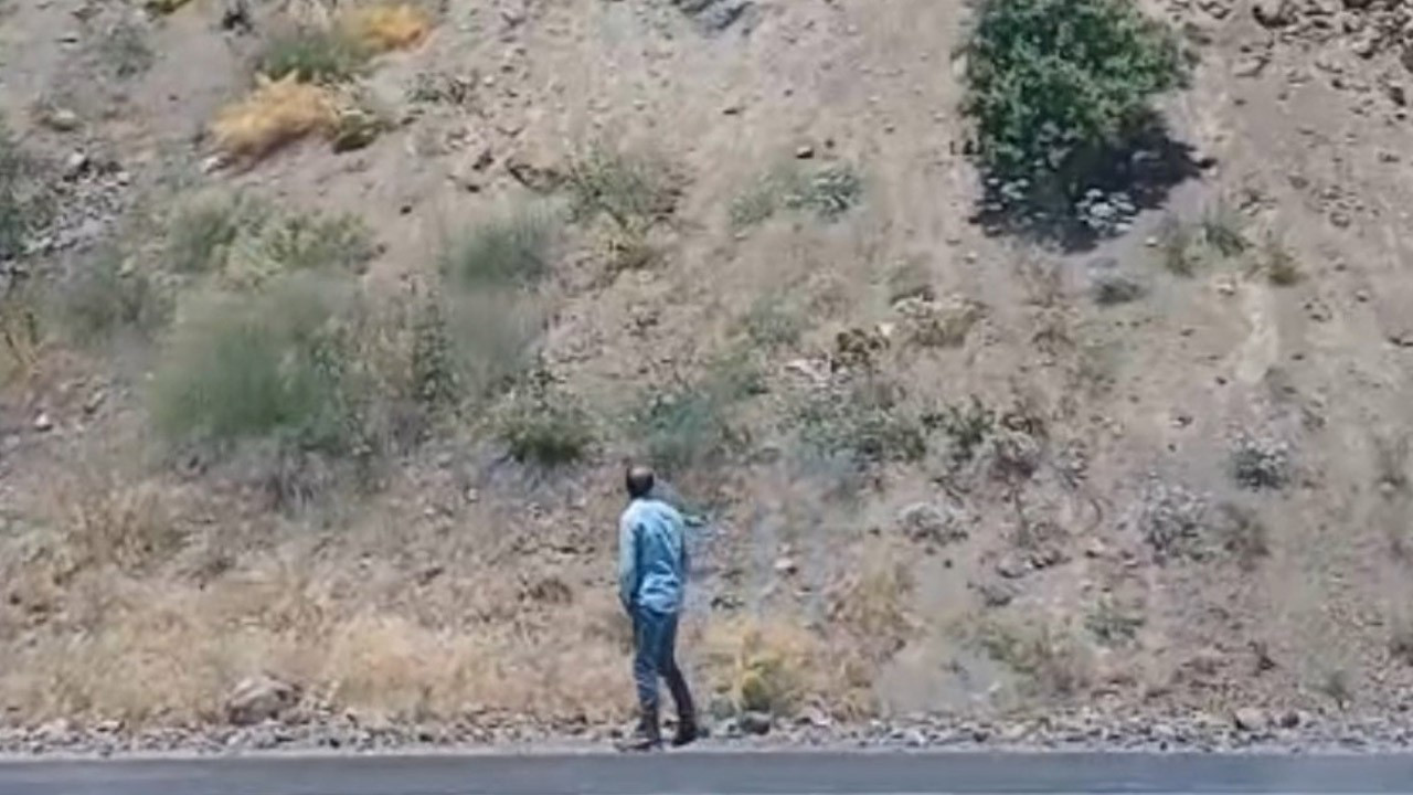 Van-Yüksekova kara yolunda aynı anda belirdiler, sürü halinde dağa doğru ilerlediler