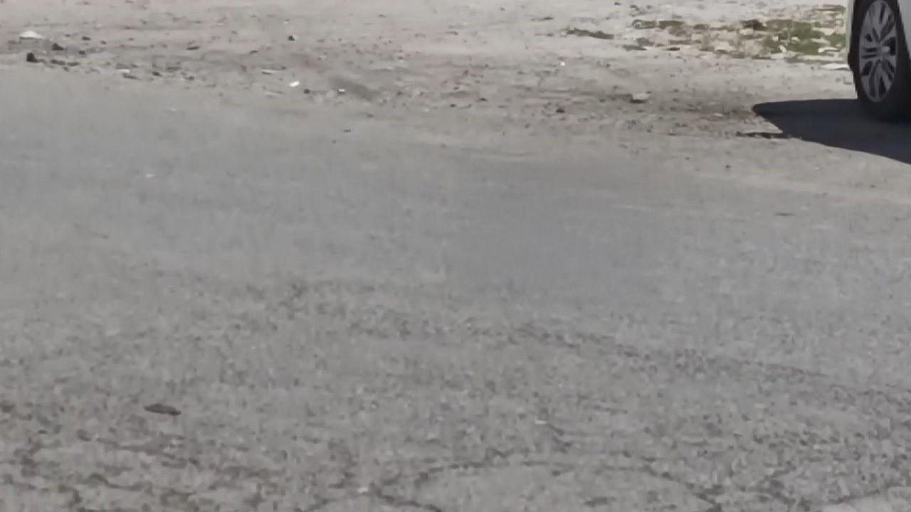 Kars’ta hızla ortaya çıktı, araçların altına saklanıp bir anda gözden kayboldu