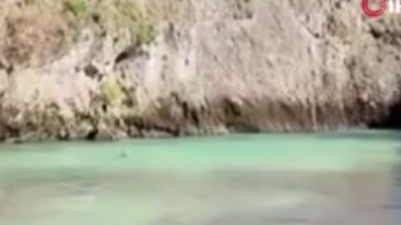 Tunceli görülen anlar ilgi çekti, anne ve yavrular suyun içinde keyif yaptı