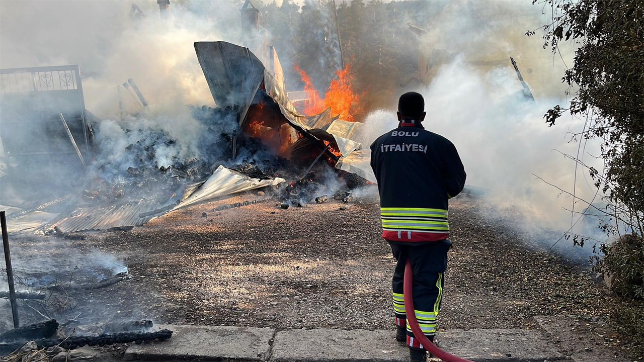 Yayla alevler içinde kalmıştı: Kundakçının kimliği şaşırttı!