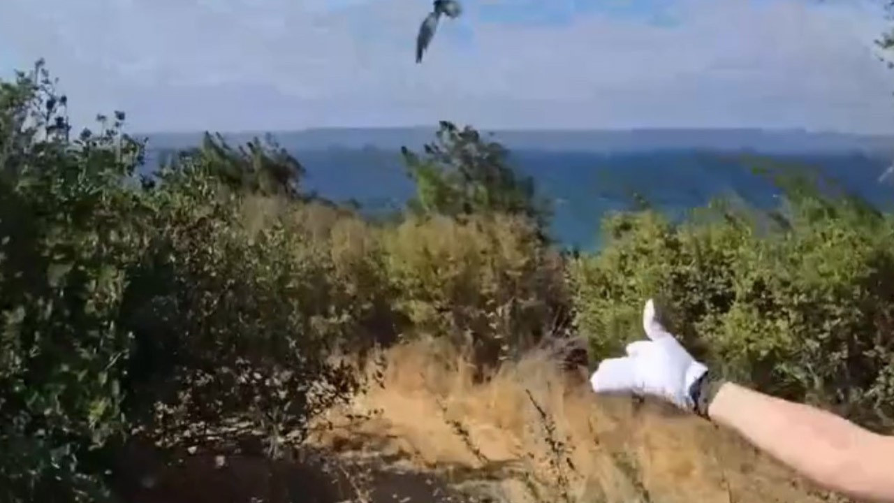Çanakkale’de yaralı bulunan 3 kuşun tedavisi titizlikle tamamladı. Hepsi tekrar doğaya bırakıldı