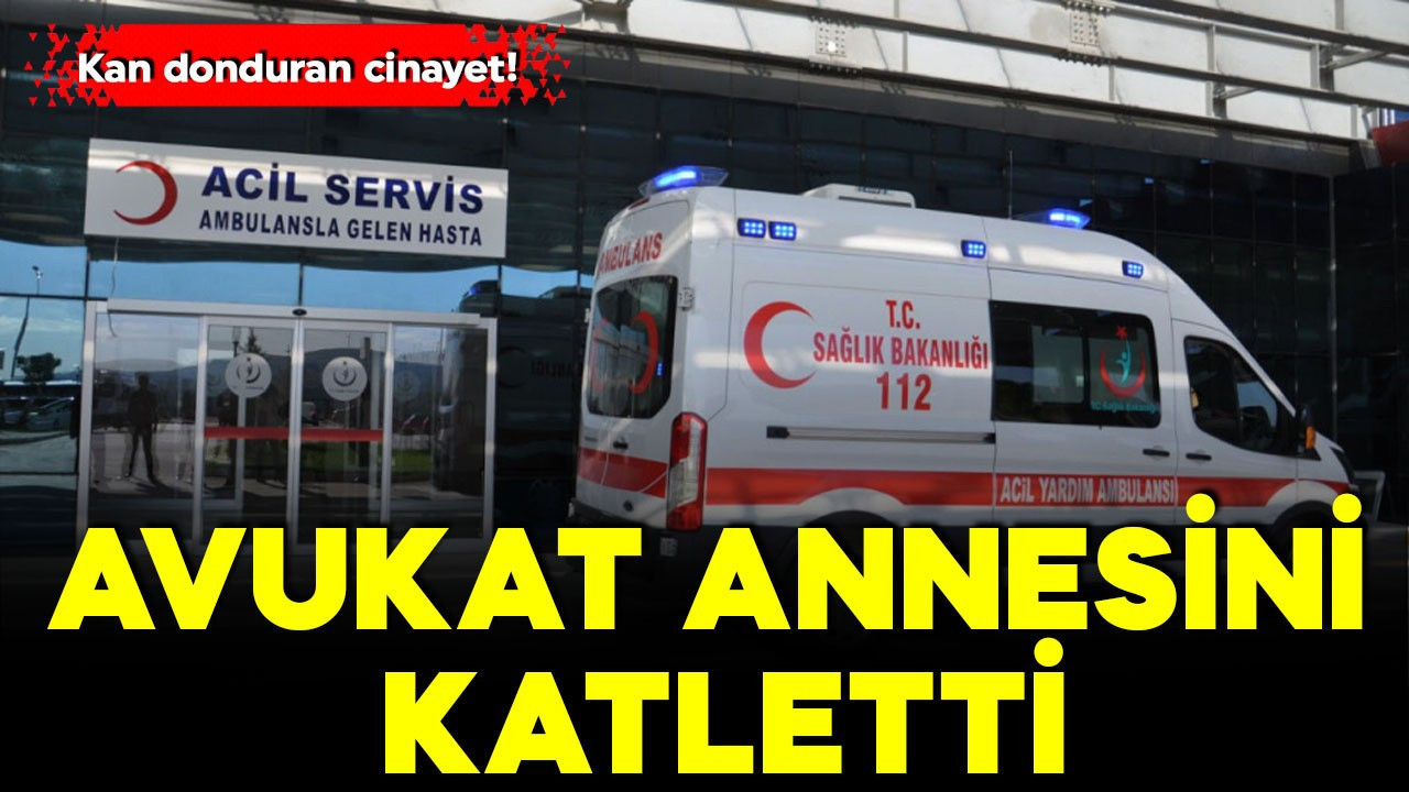 Kan donduran cinayet! Avukat annesini katletti