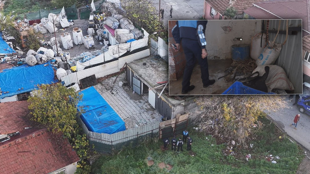 Ataşehir'de şoke eden skandal! Her şeyi itiraf etti: Kaçak at kesimi yaptıkları ortaya çıktı