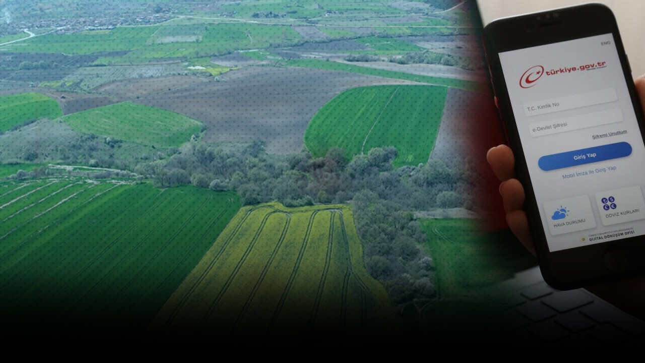 Arsa almadan önce mutlaka rengine bakın! e-Devlet'te yeni uygulama! Hangi renk kazandırır, hangisi kaybettirir?