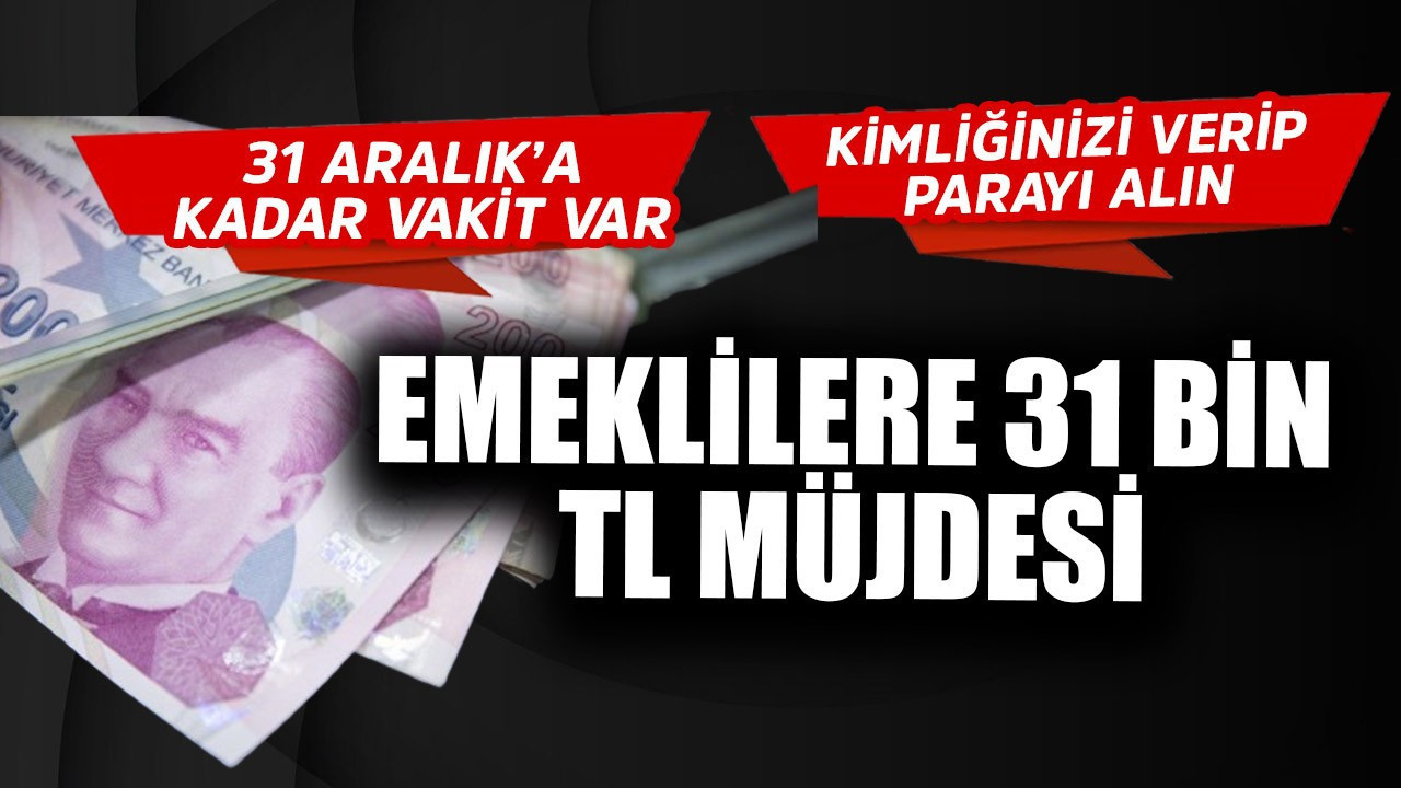 Emeklilere 31 Aralık'a kadar 31.000 TL müjdesi! T.C Kimlik Numarası Sonu 0,2,4,6 ve 8 fark etmez gidip parayı alın