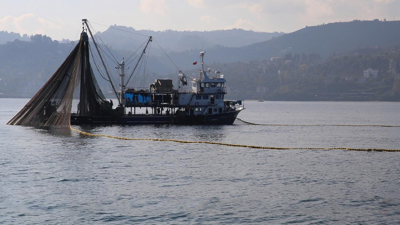 1 Ocak'ta başlıyor, 15 Şubat'a kadar yasak! Sakın bunları avlamayın