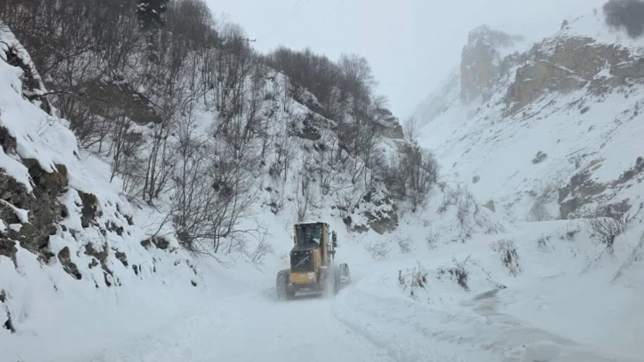 Artvin'de çığ meydana geldi! Vali Ergün'den açıklama
