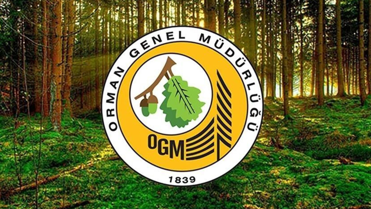 Resmi Gazete’de yayımlandı! Orman Genel Müdürlüğü 26 işçi alacak!