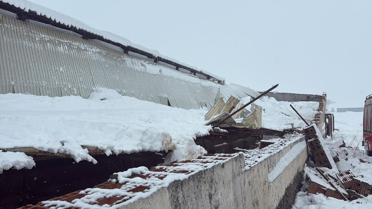 Diyarbakır’da ahır çöktü! 11 hayvan yan yana can verdi
