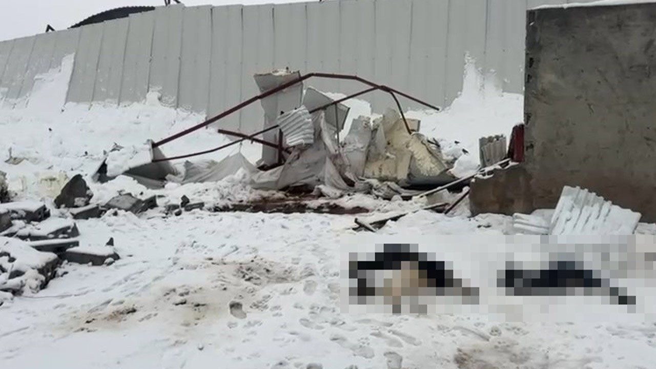 Siirt’te kar faciası! 3 ahırın çatısı çöktü: 600 küçükbaş hayvan öldü