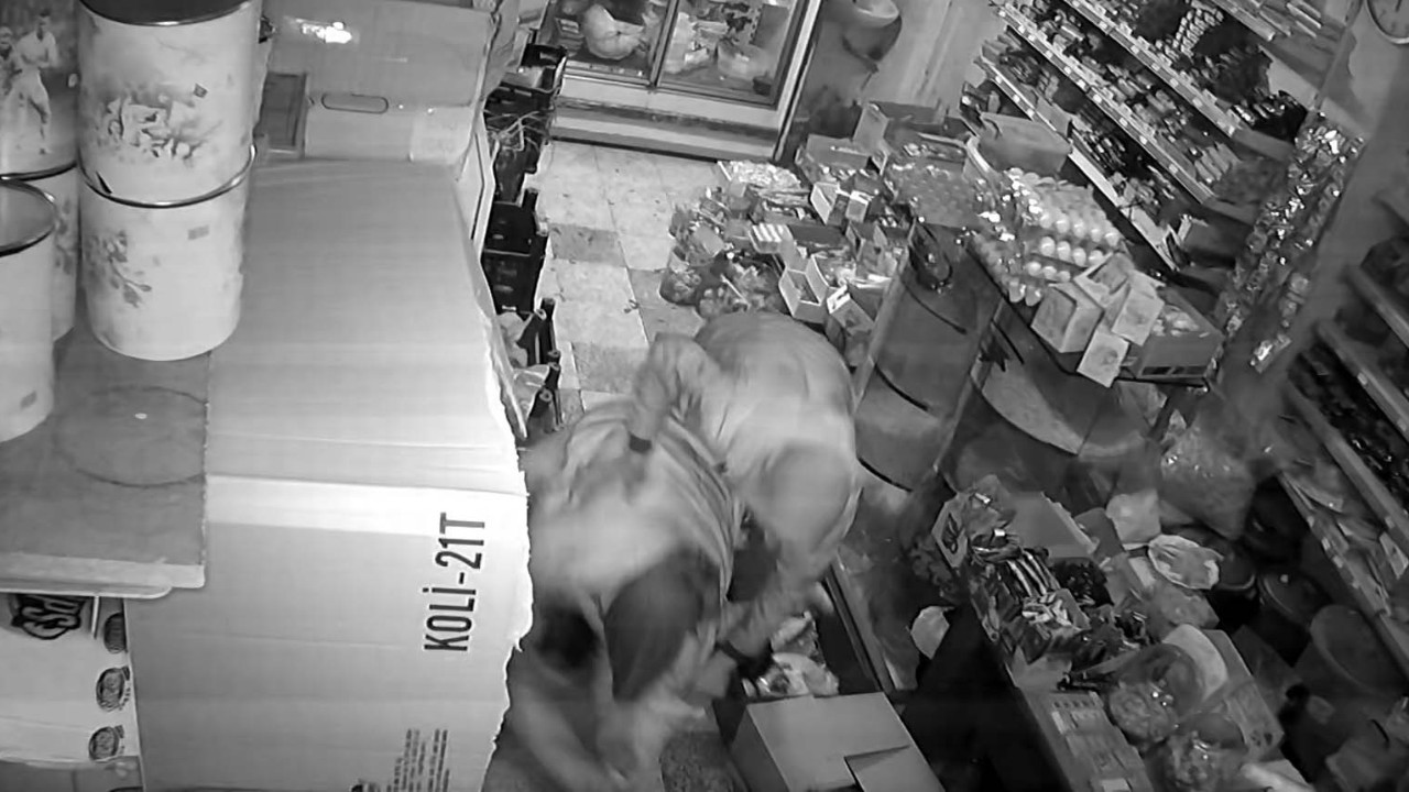 Gaziantep'te dehşete düşüren olay! Küçük kızı darbedip, bıçakladı: O anlar kamerada