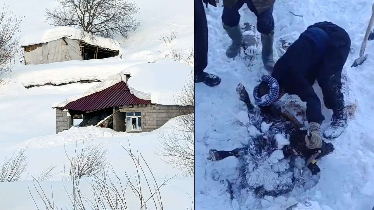 Hakkari’de çığ düştü! Evler ve ahırlar zarar gördü