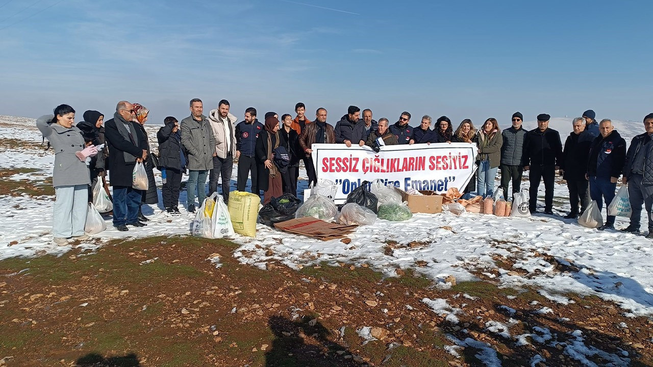 Batman'da insanlara saldırmalarını önlemek için her yere bırakıldı