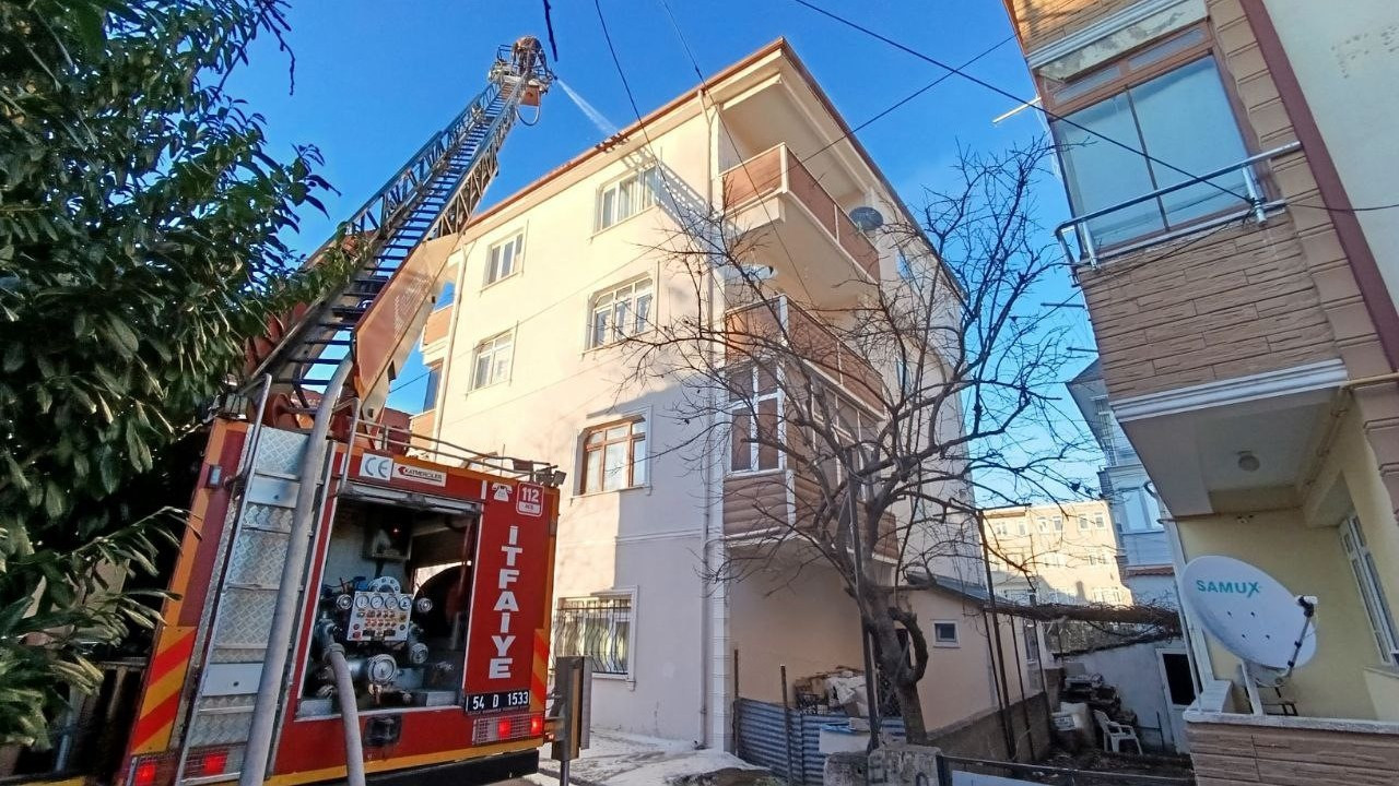 Faciaya ramak kala! Mangal keyfi panik yarattı