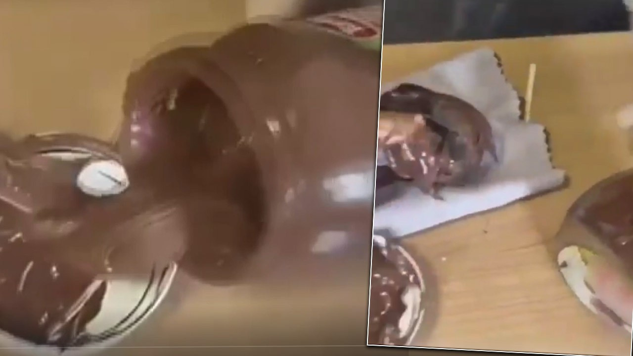 Akılalmaz olayın adresi Mardin! Çikolata kavanozundan çıkanlar şoke etti