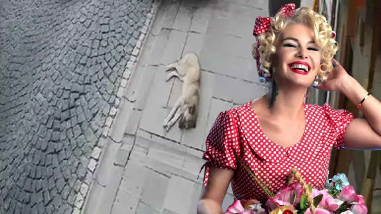 'Mardinli Marilyn Monroe'ya hapis cezası!