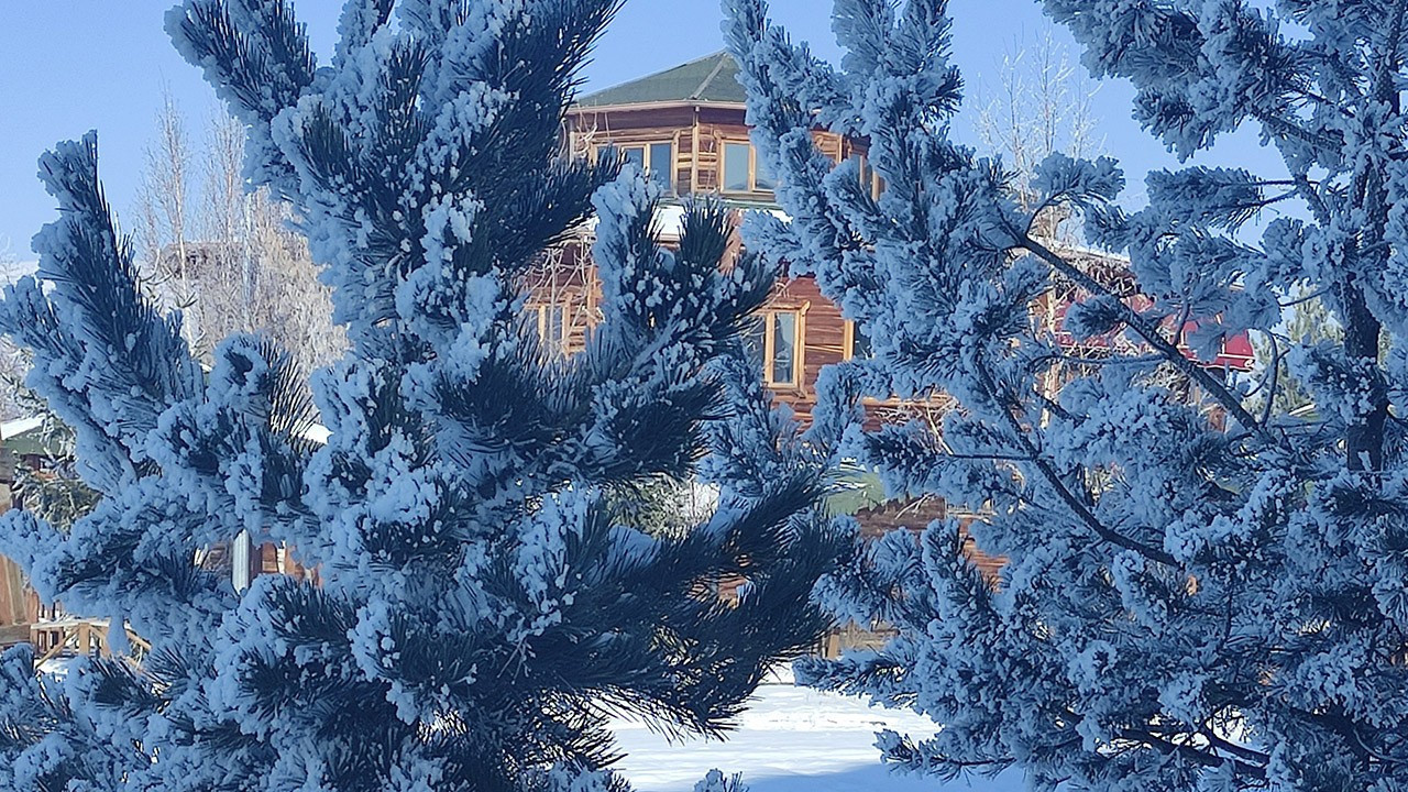 Ardahan'da dondurucu soğuklardan sonra doğada ilginç manzaralar