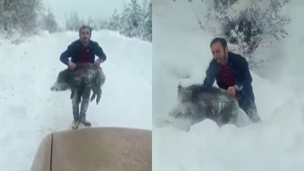 Çektiği video gündem olmuştu! Yavru domuzu elleriyle yakalayan kişiye dev ceza!