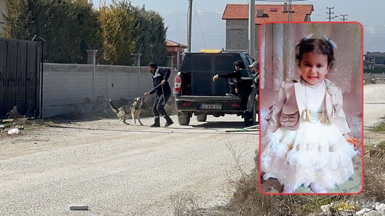 10 sokak köpeği saldırmıştı! Küçük Rana'nın ölümünde belediye yetkilileri hakkında karar