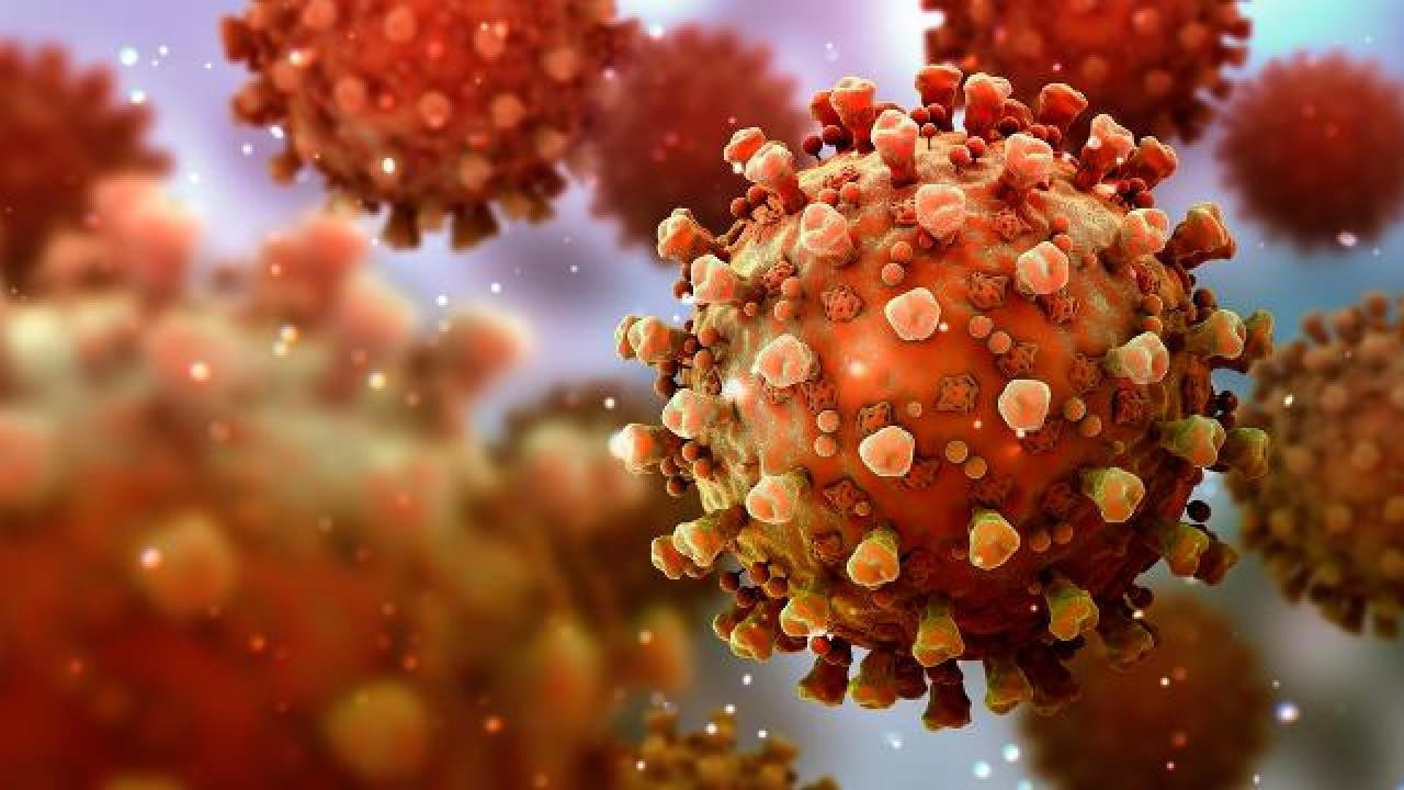 Dikkat virüs alarmı! Özellikle çocuklar dikkat etmeli: Solunum sorunu yaratabilir