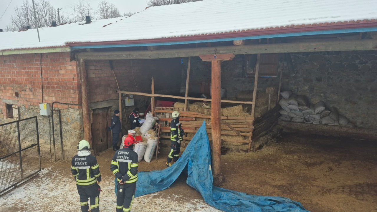 Feci ölüm! Makinenin içinde can verdi