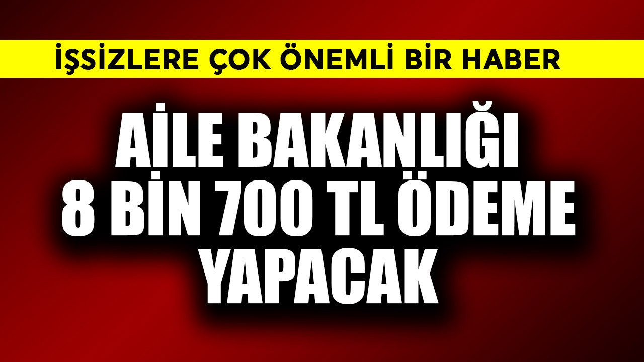 İşsizlere çok önemli haber! Aile Bakanlığı   8.700 TL ödeme yapacak