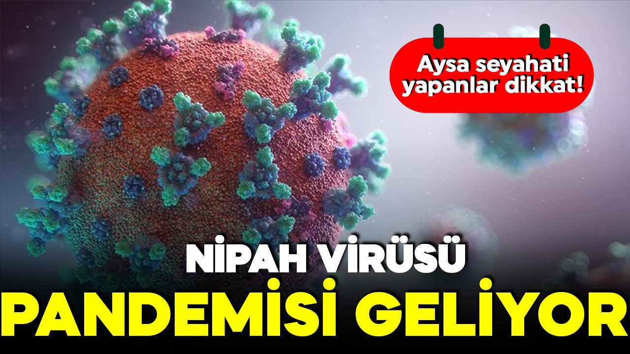 Nipah virüsü pandemisi mi geliyor? Asya seyahati yapanlar dikkat! 45 gün kendinizi izleyin