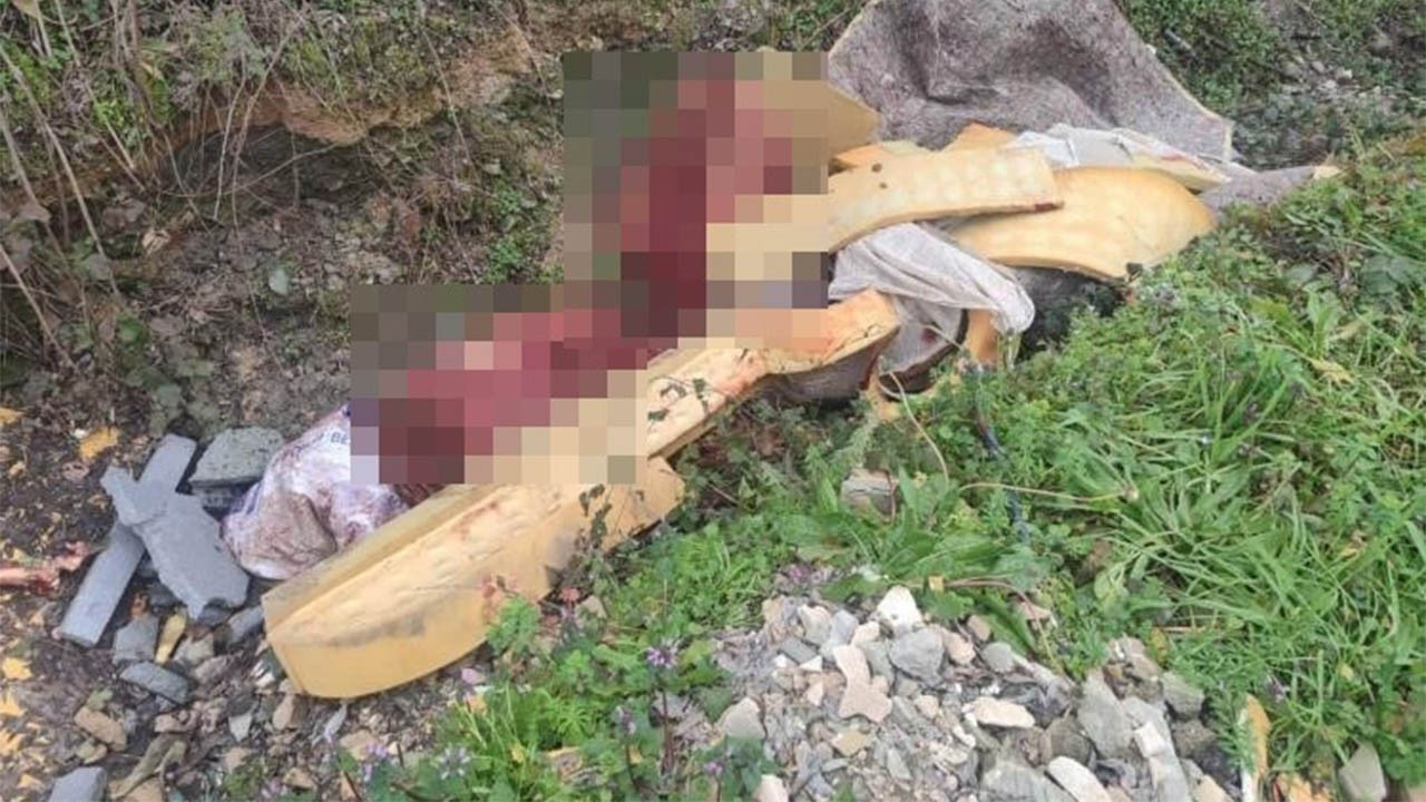 Otoyol kenarında alarma geçiren olay! Skandal kemiklerin izi sürülünce ortaya çıktı