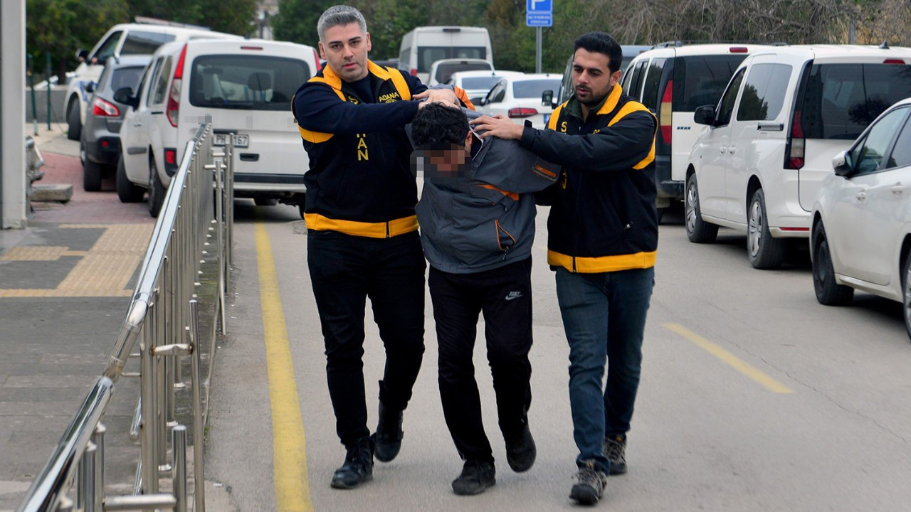 Kedi ezen sürücüye ibretlik ceza! 'Üzerinden bilerek geçtiğini gördüm'