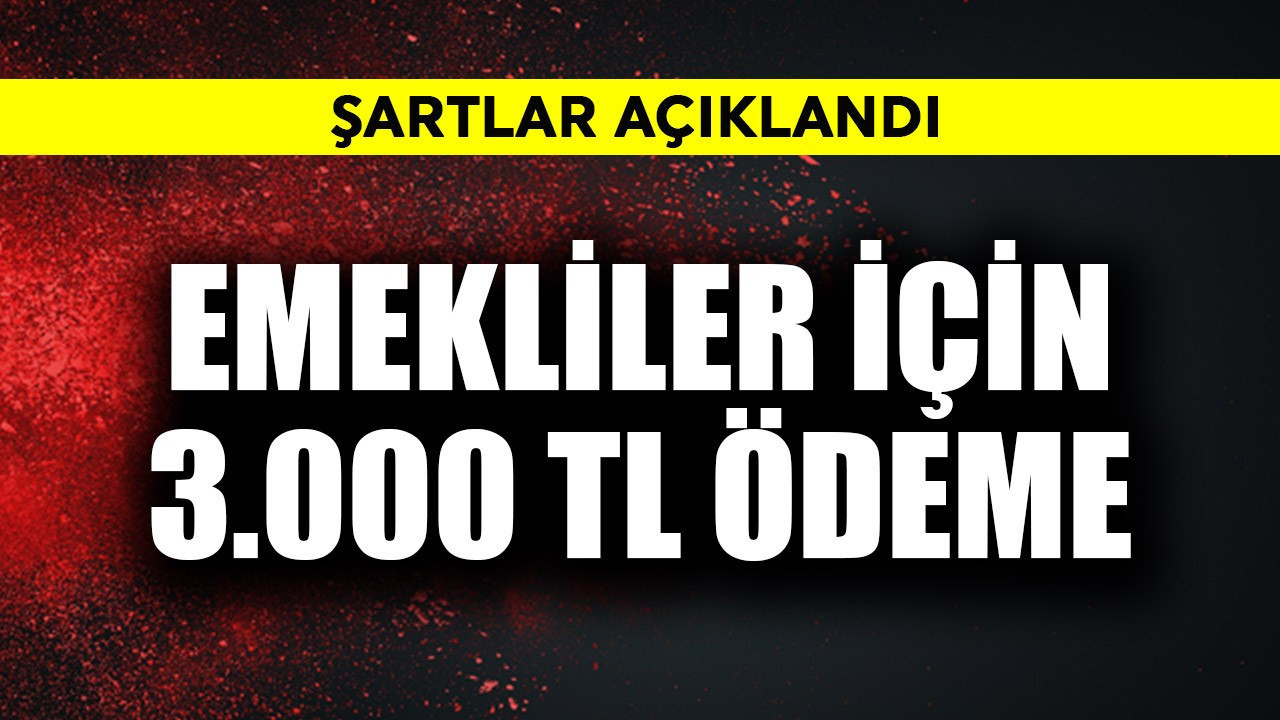 Emekliler için 3.000 TL ödeme! Şartları açıklandı