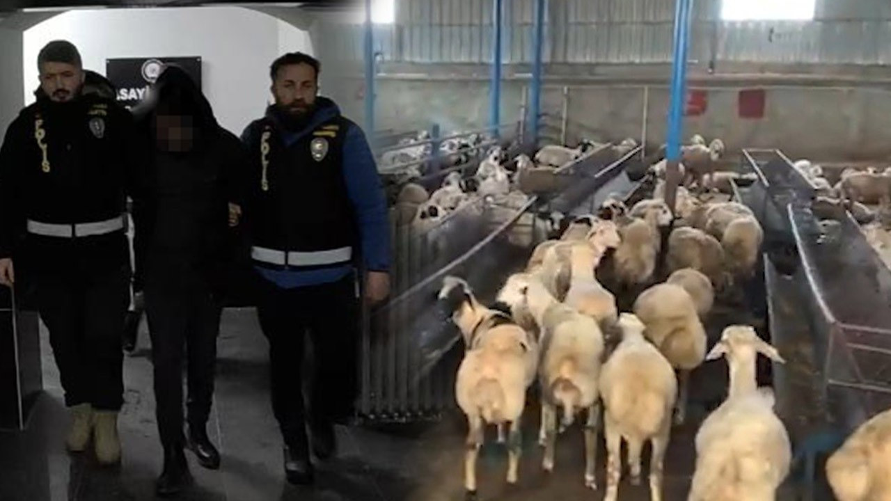 Besicilere akıllara durgunluk veren tuzak! 14 milyon TL böyle buhar oldu