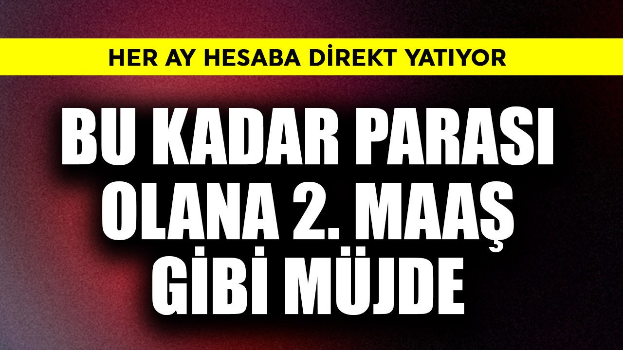 Bu kadar parası olana 2. maaş gibi müjde! Her ay hesaba direkt yatıyor