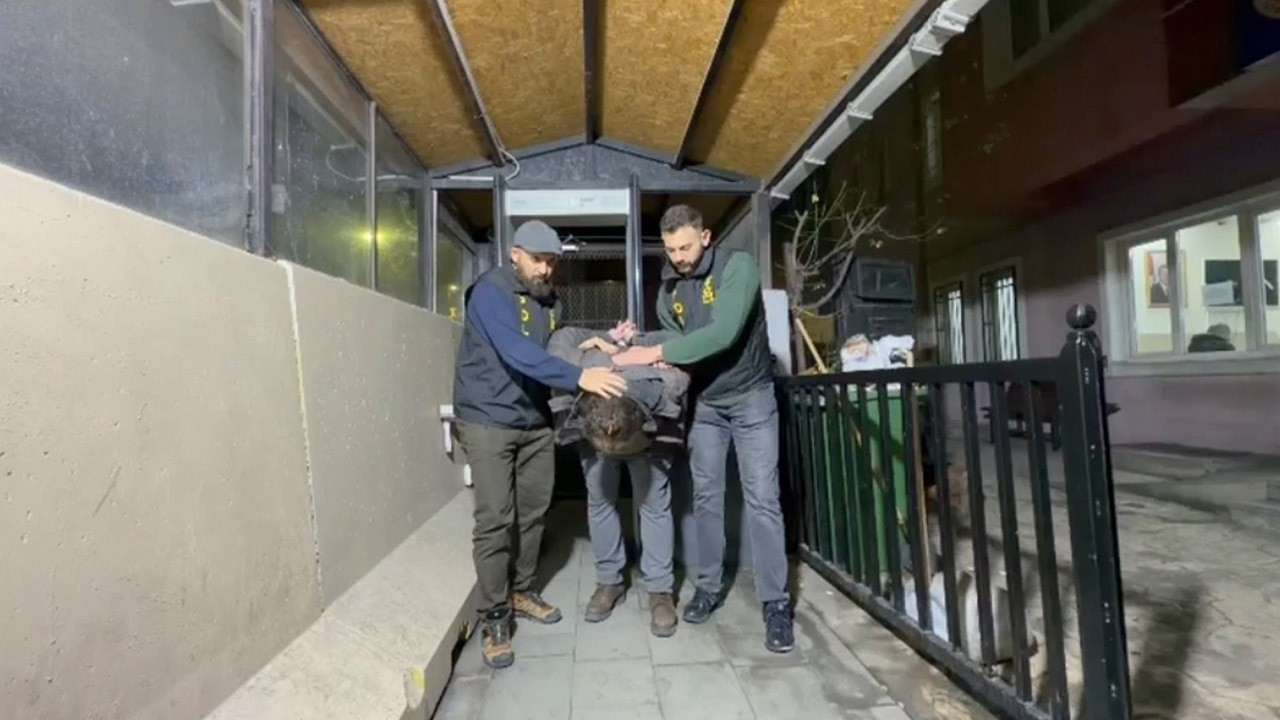 'Cinsel saldırı' suçundan 9 yıldır aranan firari, Küçükçekmece'de yakalandı