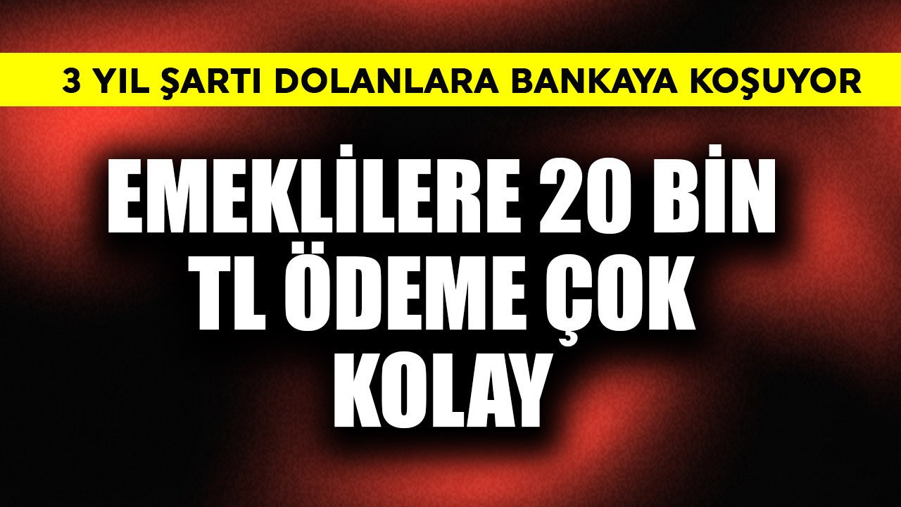 Emeklilere 20 bin TL ödeme çok kolay