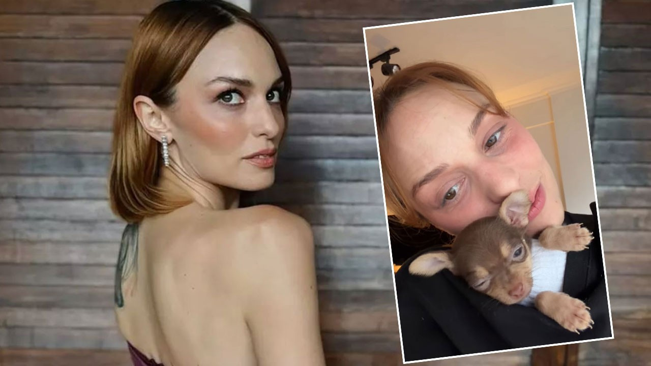 Nilperi Şahinkaya yavru köpek sahiplendi! Verdiği isim duyanları şoke e