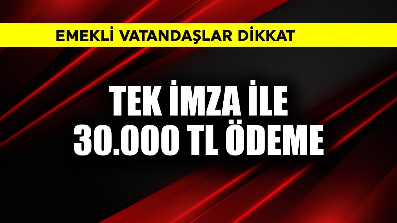 Tek imza ile 30.000 TL ödeme! Emekliler dikkat