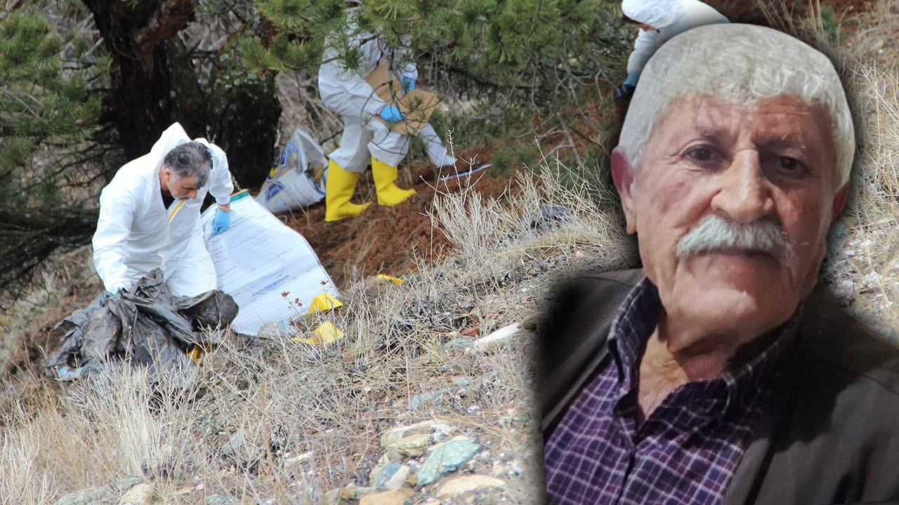 Kesik baş cinayetinde kan donduran detaylar! Benzinle yakıp, parçalara ayırmış... Gözaltı sayısı arttı