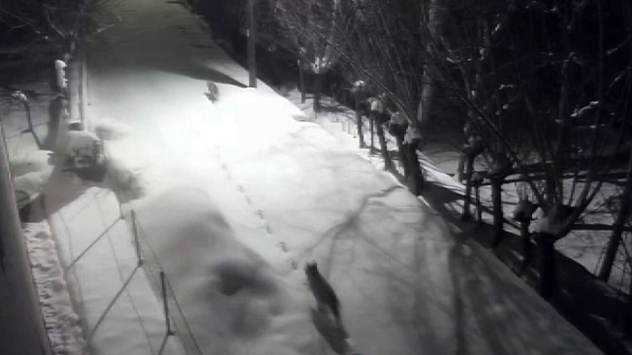 Mahalleye kadar indiler, bölge halkı titredi