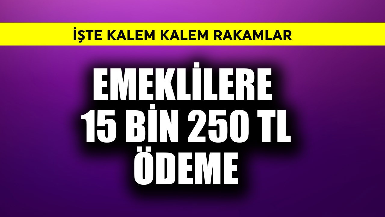 Emeklilere 15 bin 250 TL ödeme! İşte kalem kalem rakamlar