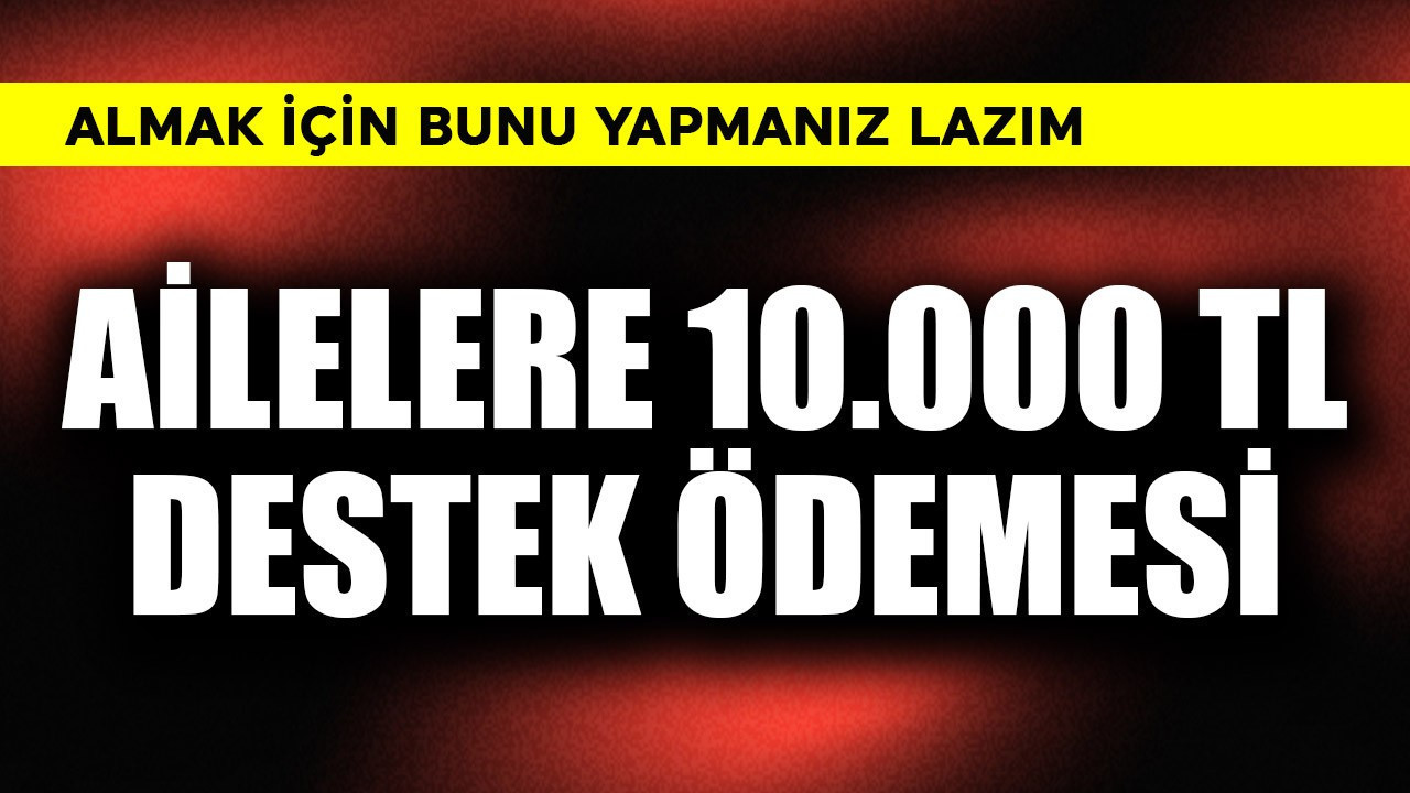 Ailelere 10.000 TL destek ödemesi! Almak için bunu yapın