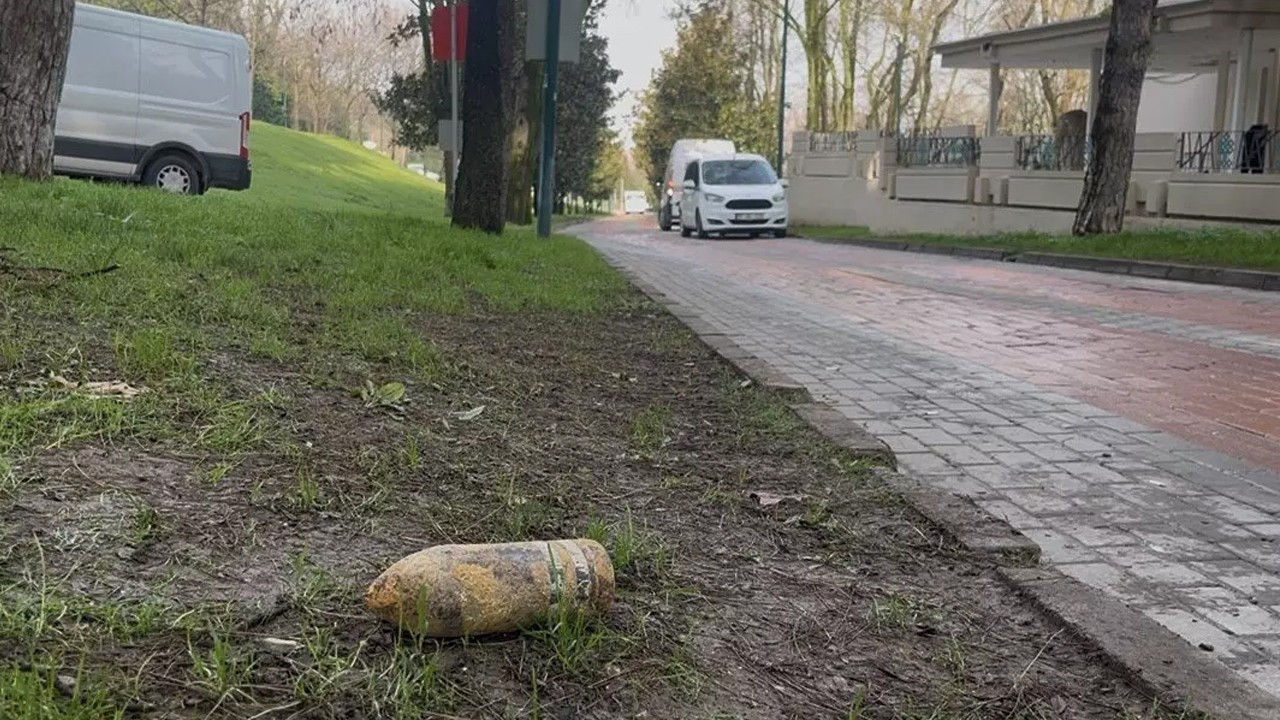 Bursa'da piknik yaparken buldu: Müzeye getirince ortalık karıştı