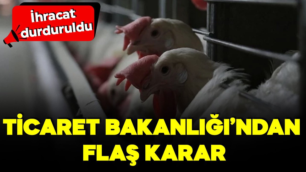 Ticaret Bakanlığı’ndan flaş karar! Kanatlı eti ihracatı durduruldu