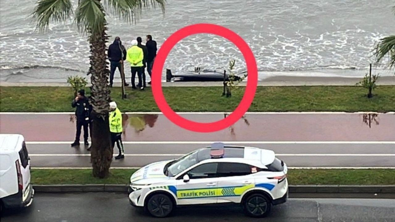 Ünye sahilinde kıyıya vurmuş cisim bulundu