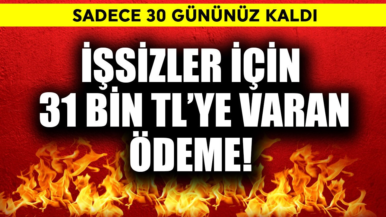 İşsizler için 31 Bin TL'ye varan ödeme! Sadece 30 gün kaldı