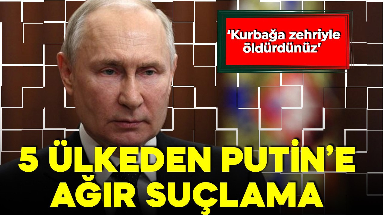 İngiltere, Almanya ve Fransa dahil 5 ülkeden Rusya'ya ağır suçlama: Kurbağa zehriyle öldürdünüz