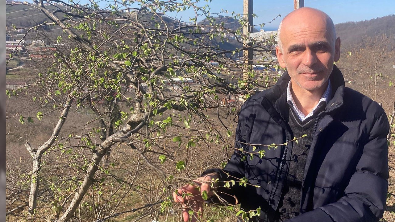 Fındık üreticilerine önemli uyarı